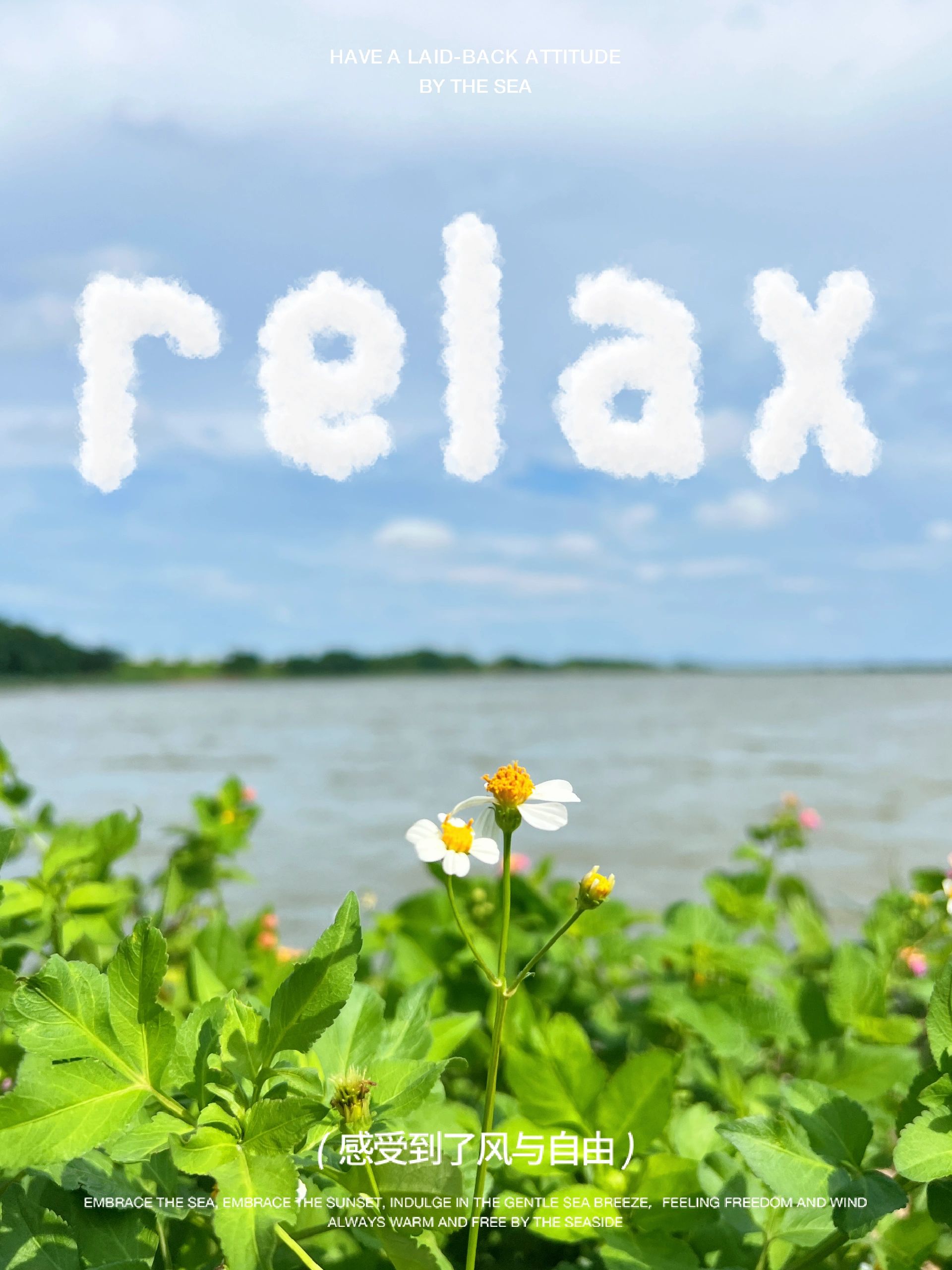 南沙19涌露营⛺️