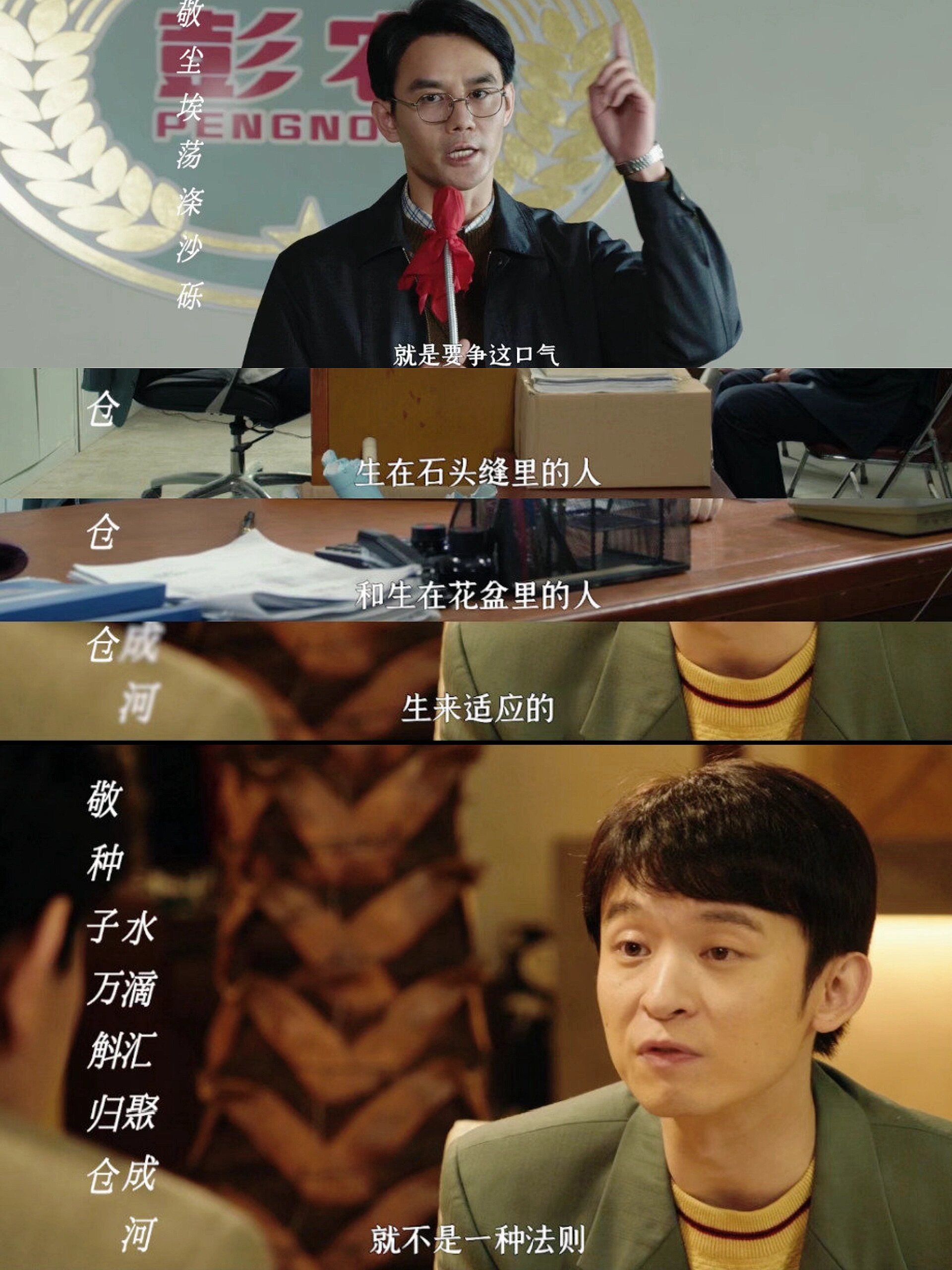 正午阳光新剧‼️ 全员搞事业