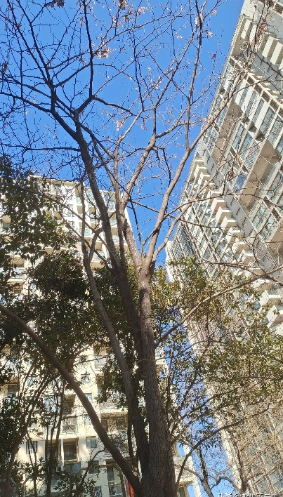 一个人带俩孩子真不能出意外状况，刚刚去送女儿领通知书去，刚出小区门就踩着下水道的