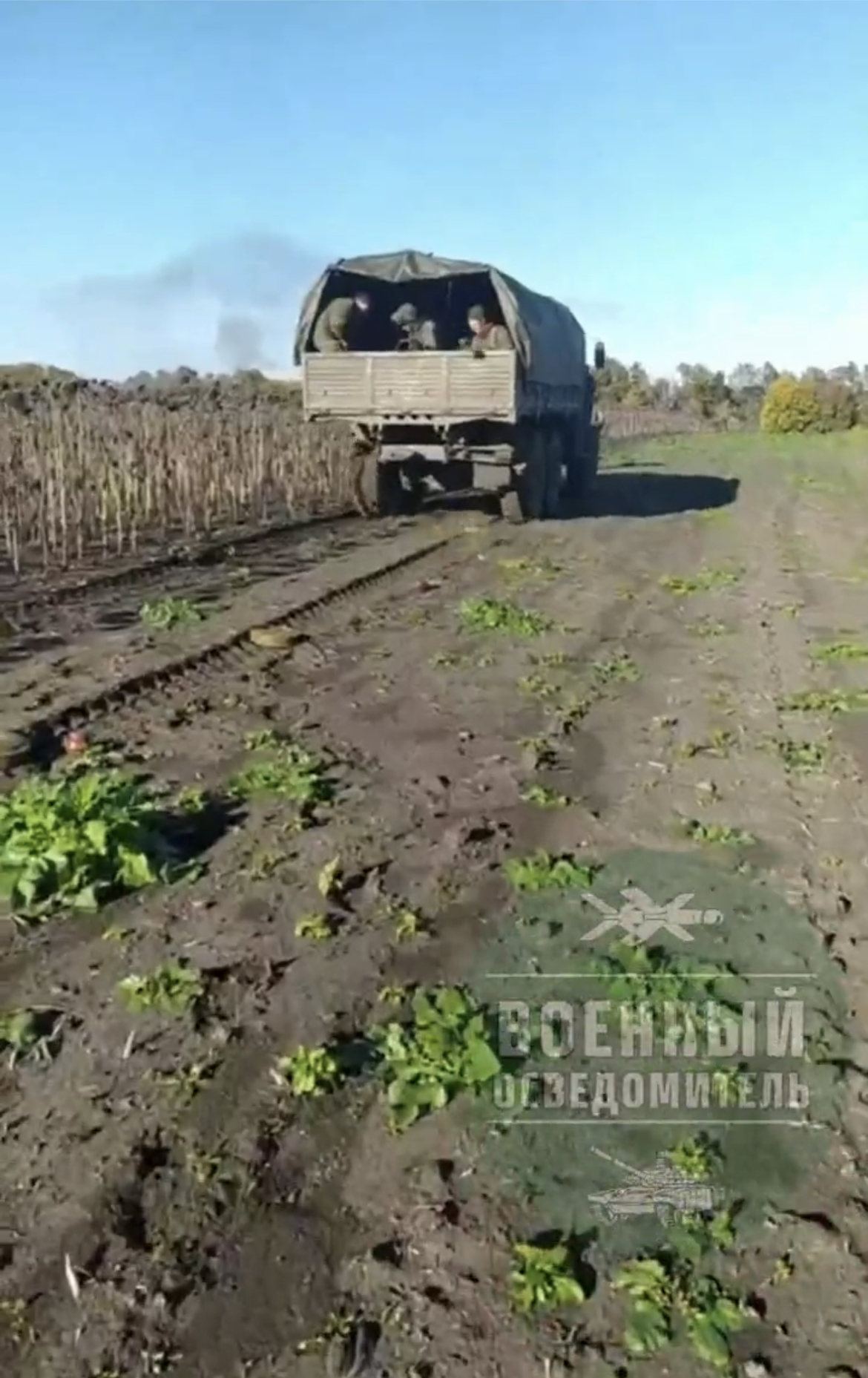俄军简单粗暴地布雷，一卡车一卡车的布雷。现在知道，为什么俄军很少反击了。因为，很