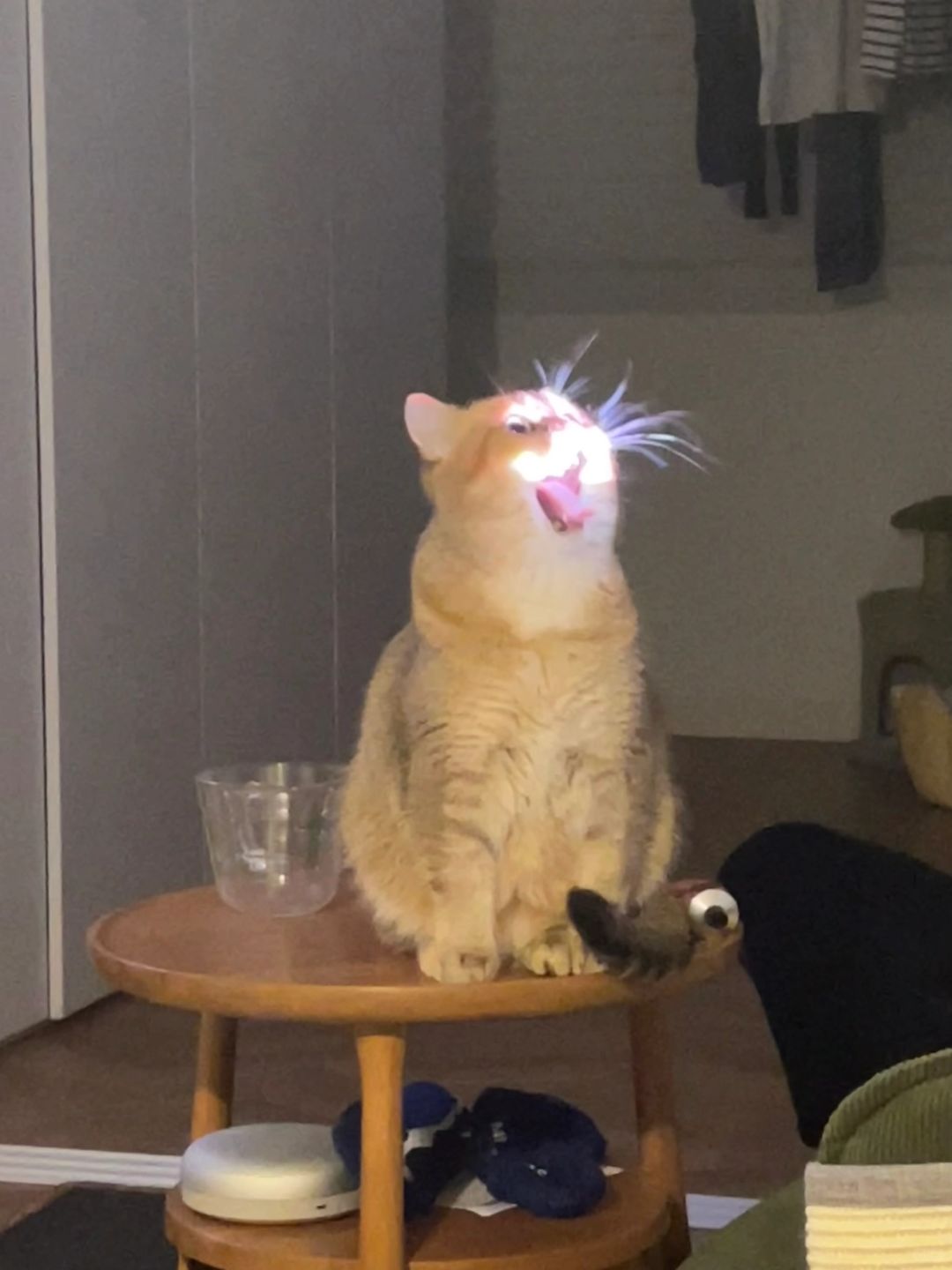 32岁没上班不生孩子回家过年只能疯一下
刚回家过年，看到小红书有个#春节疯一下
