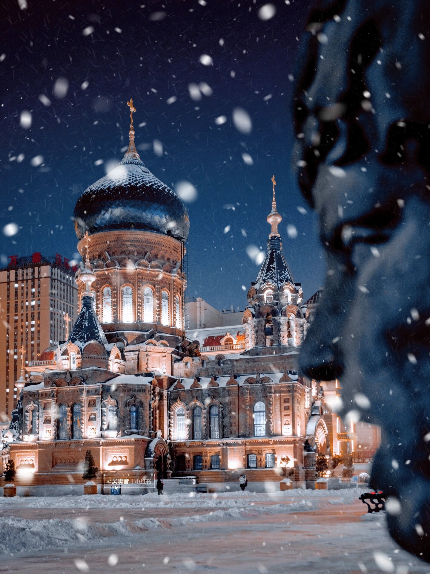 接下来几个月的哈尔滨，堪称冬天雪景天花板