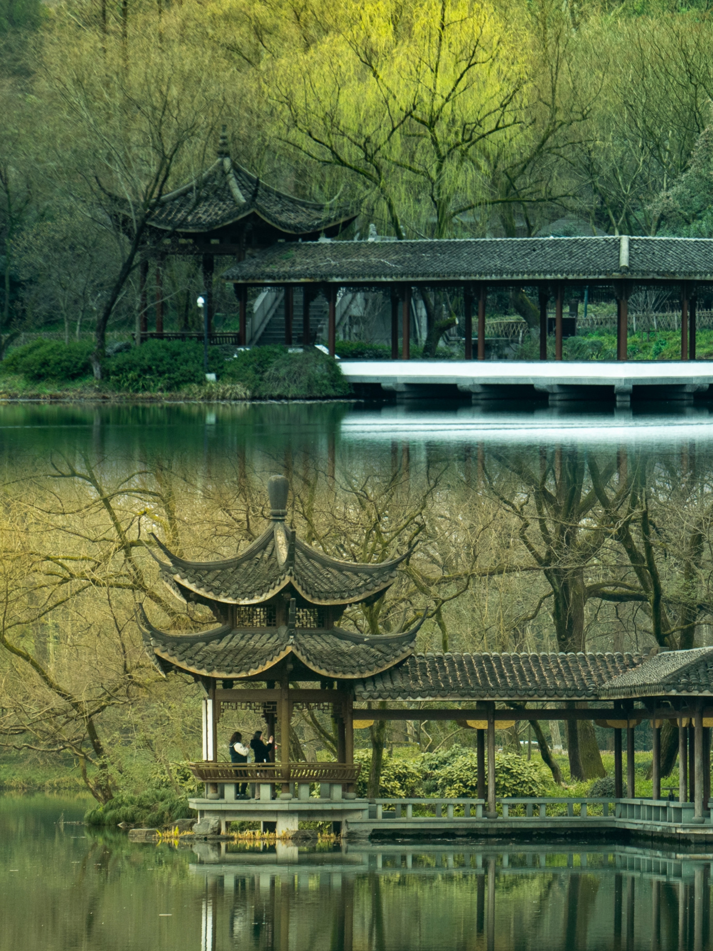 浴鹄湾美的季节：青绿山水中，夜鹭低空盘旋