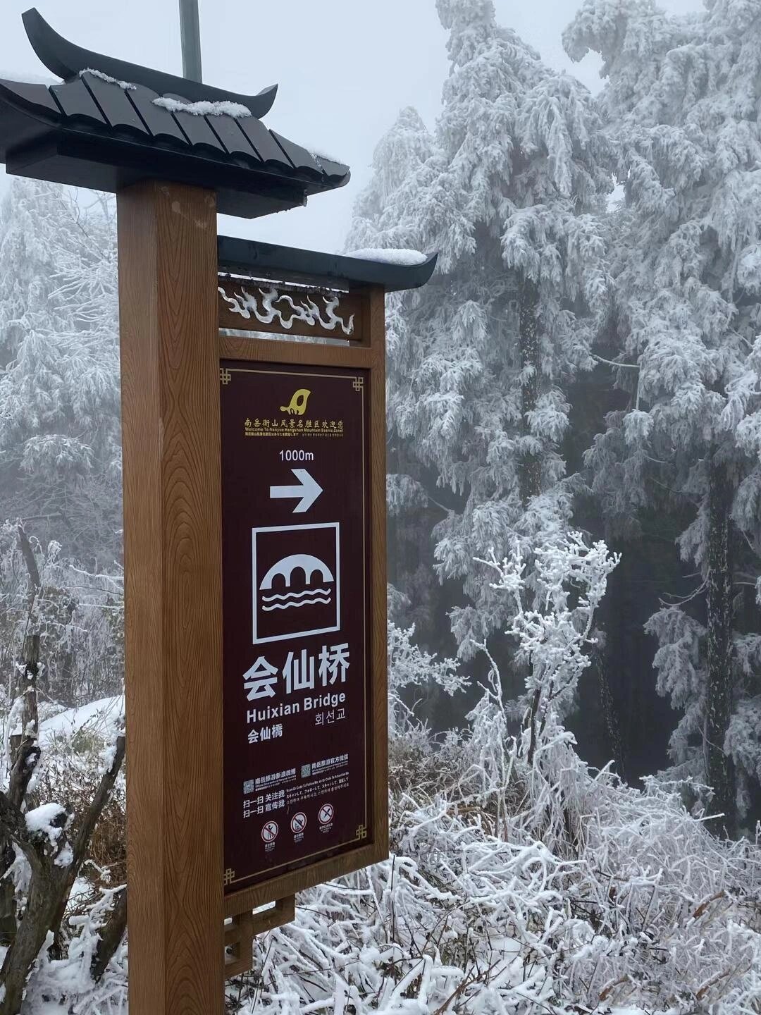南岳衡山｜看最美雾凇奔赴雪的盛宴