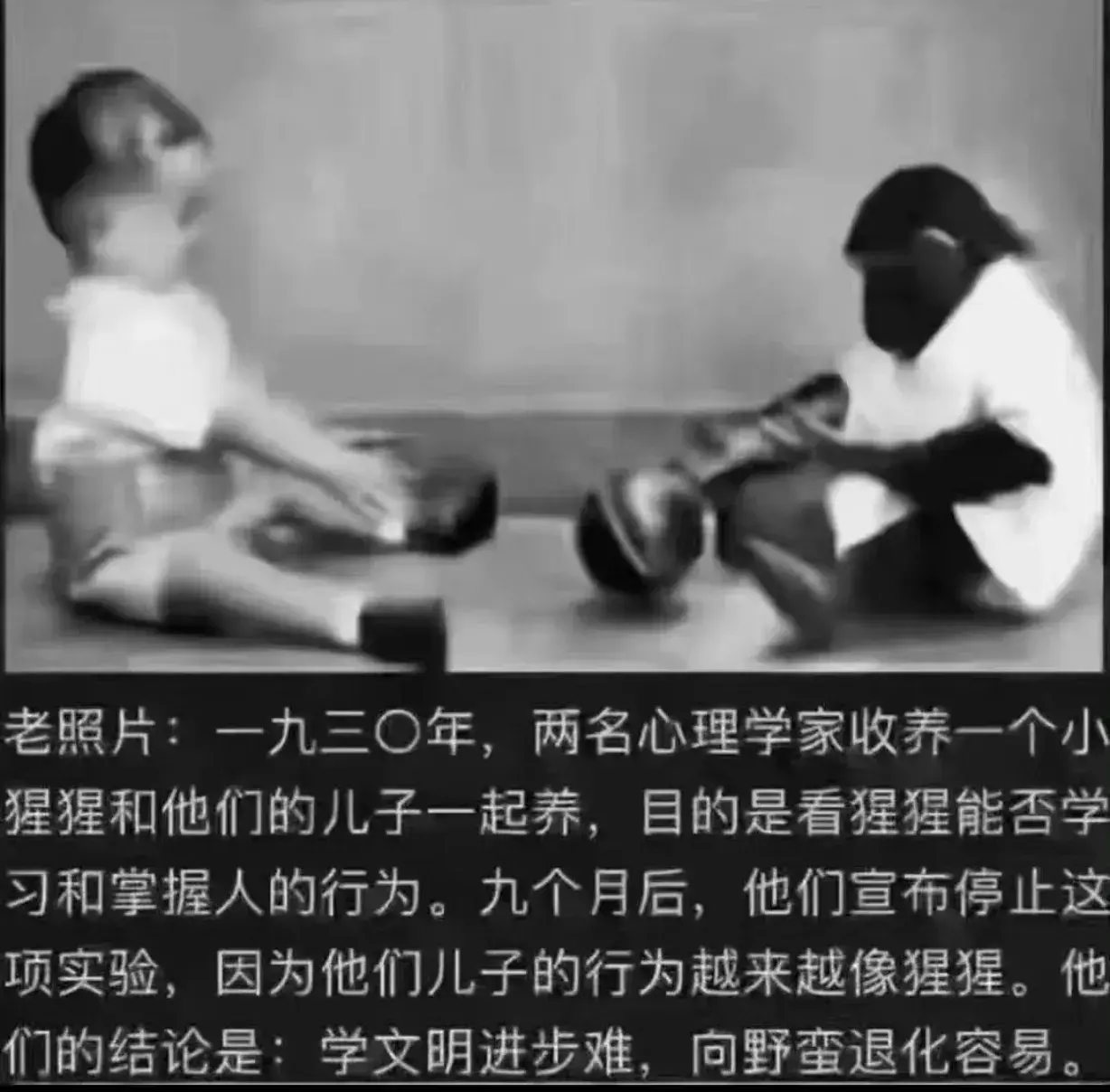 学文明进步难，向野蛮蜕化易！