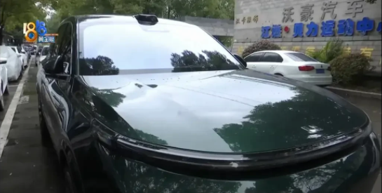 浙江杭州，一男子为了支持国产，特意购买了一辆理想L9汽车，总价为46万元，大约半