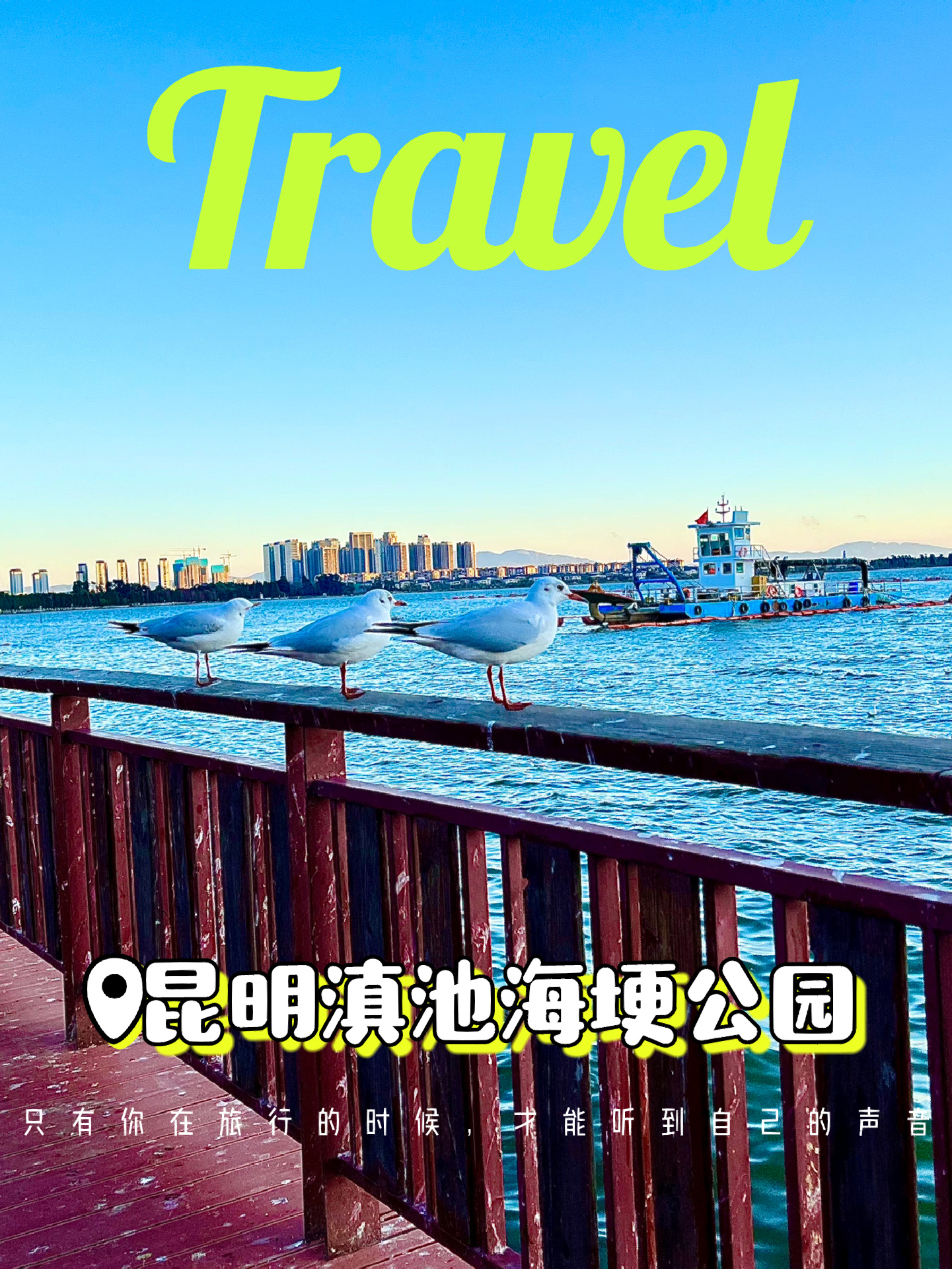 遇见昆明最美海岸线｜滇池海埂大坝 