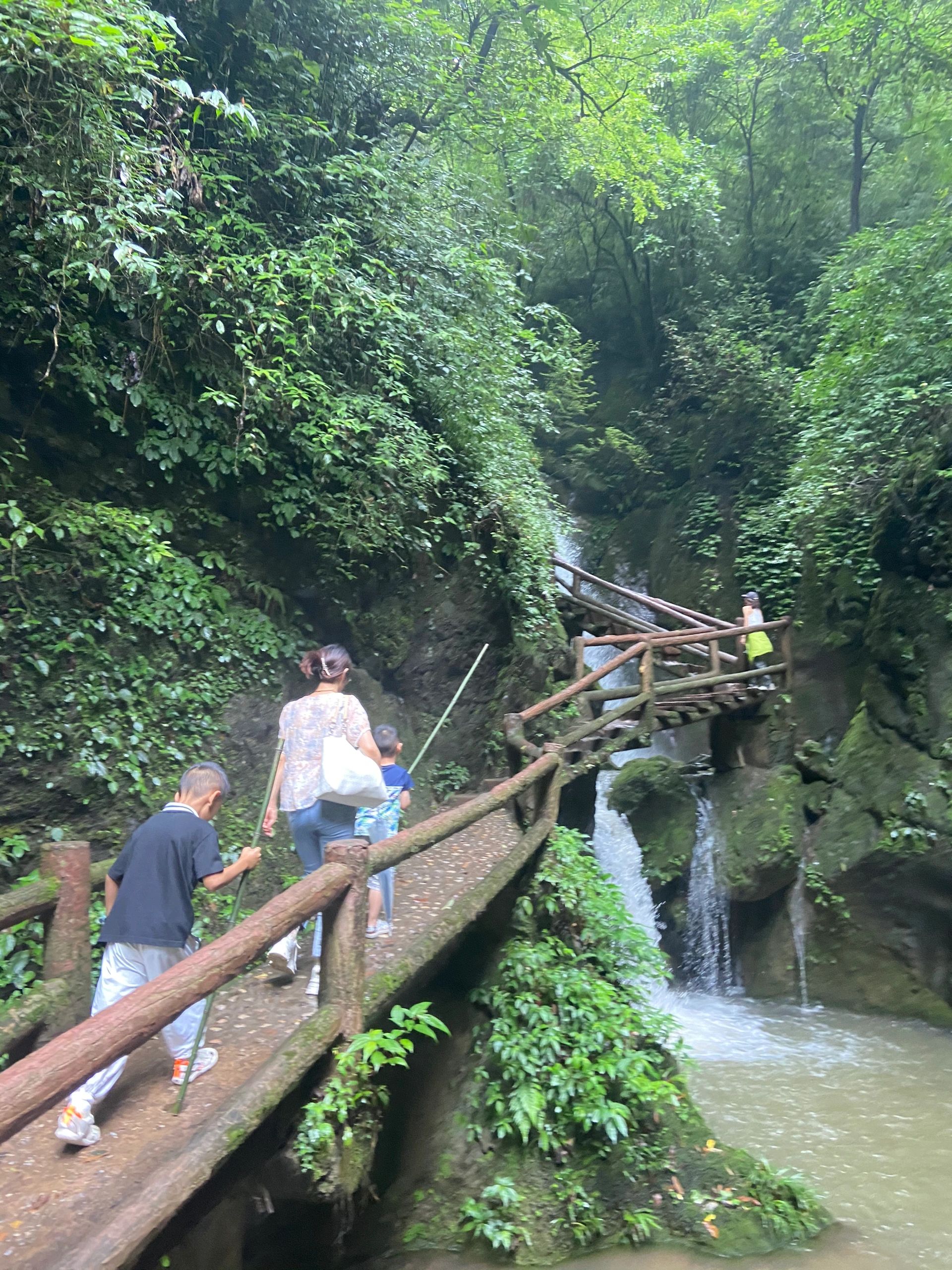 青城山亲子半日游