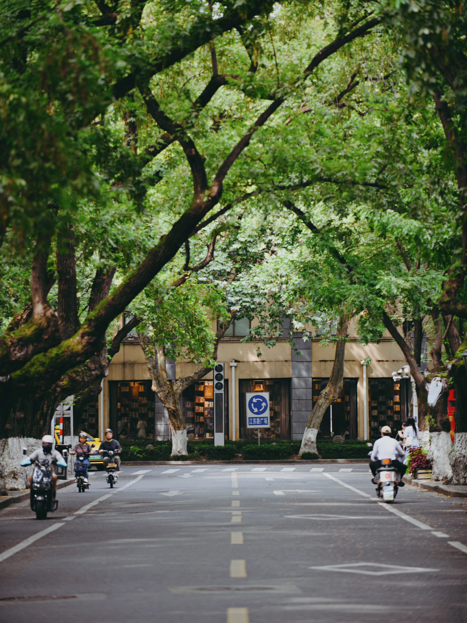 南京颐和路已经有秋意了，你来吗