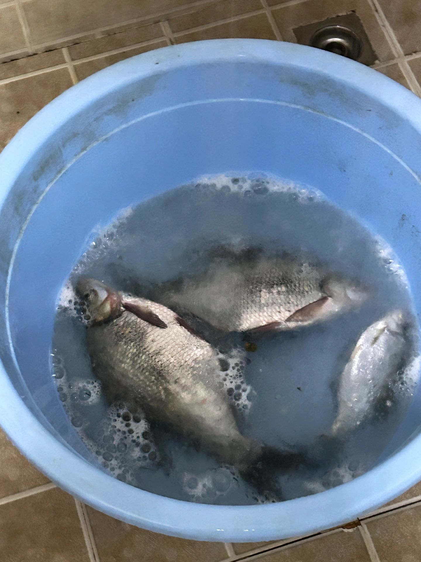 这4种漂相提竿九成不中鱼，一看就懂了