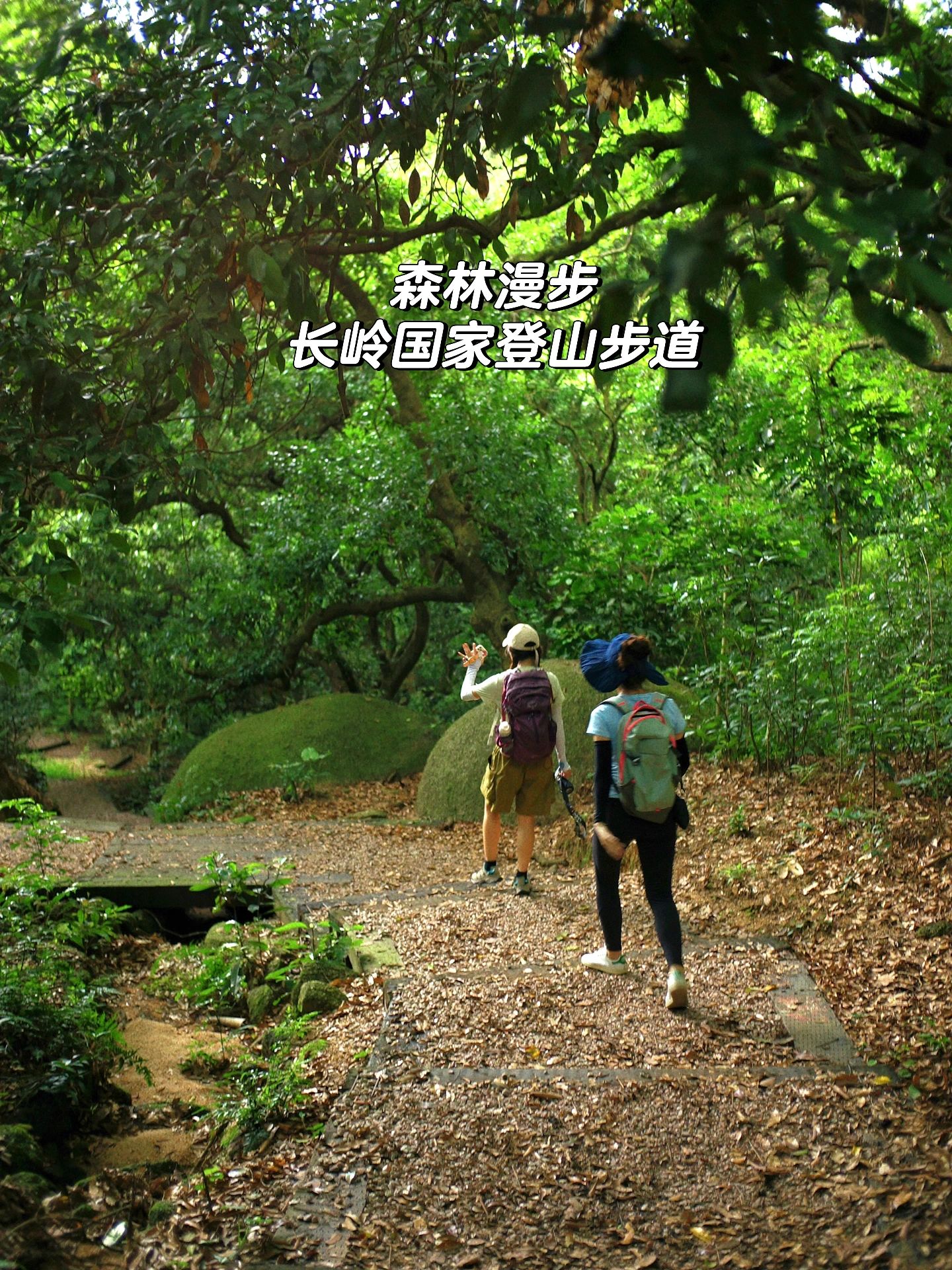 广州森林漫步|不晒太阳的轻徒步路线分享～