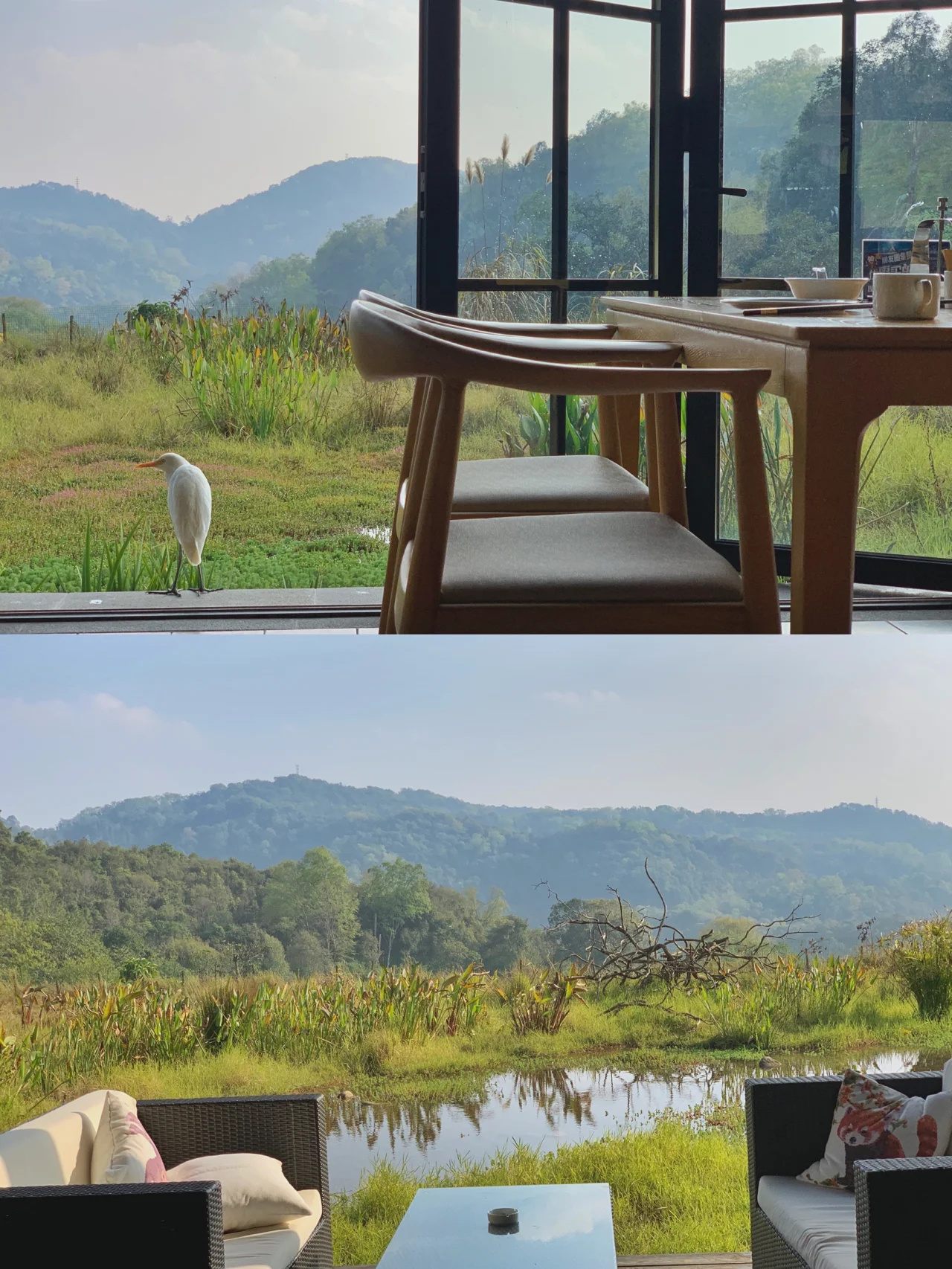 普洱小熊猫庄园｜吃住玩行全攻略｜亲子酒店