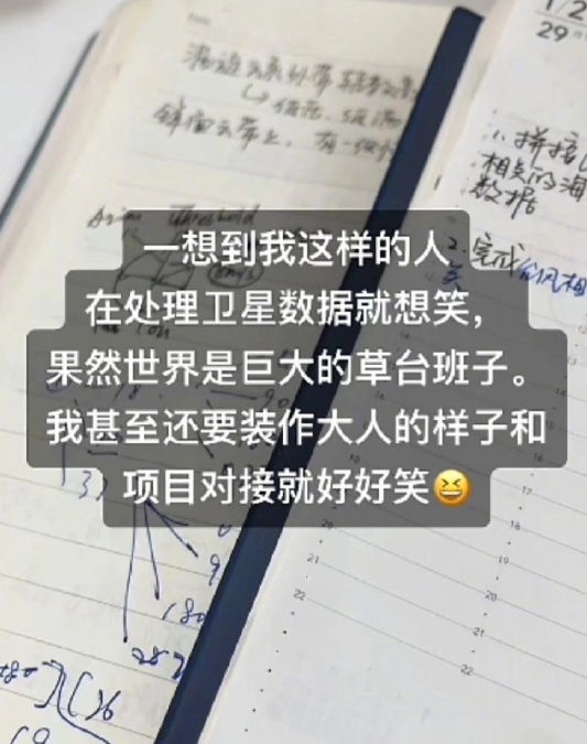 果然世界是个巨大的草台班子！ ​​​