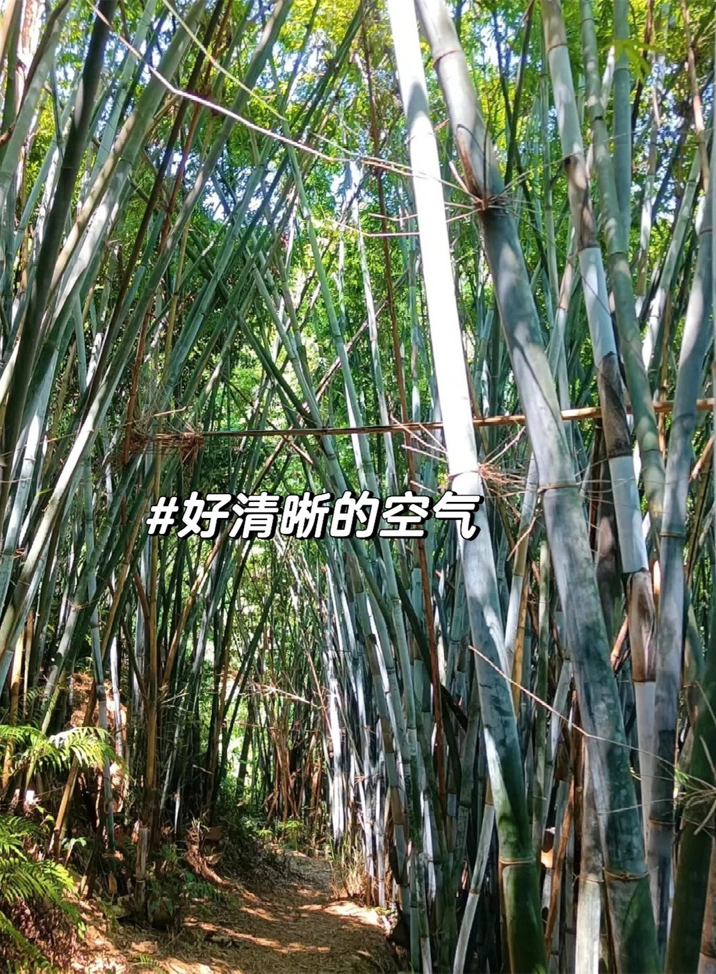  懒的做攻略的爬山搭子来啦！！！