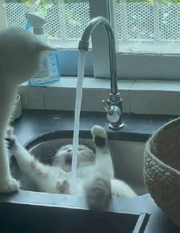 把它关了！ ​