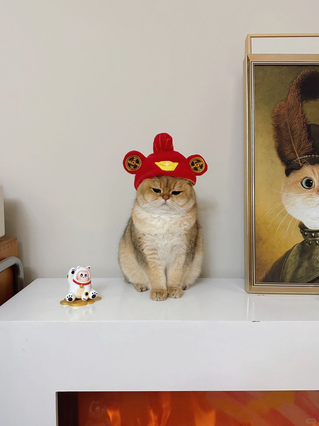 还没许完愿吗？本财神猫到点下班了
“哼，一点贡品也没有，还许那么多句”
“饿肚子