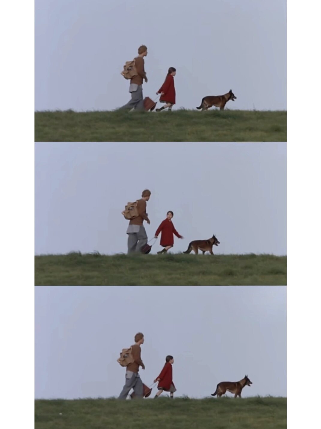 豆瓣已经8.3分了！致孤独敏感的你