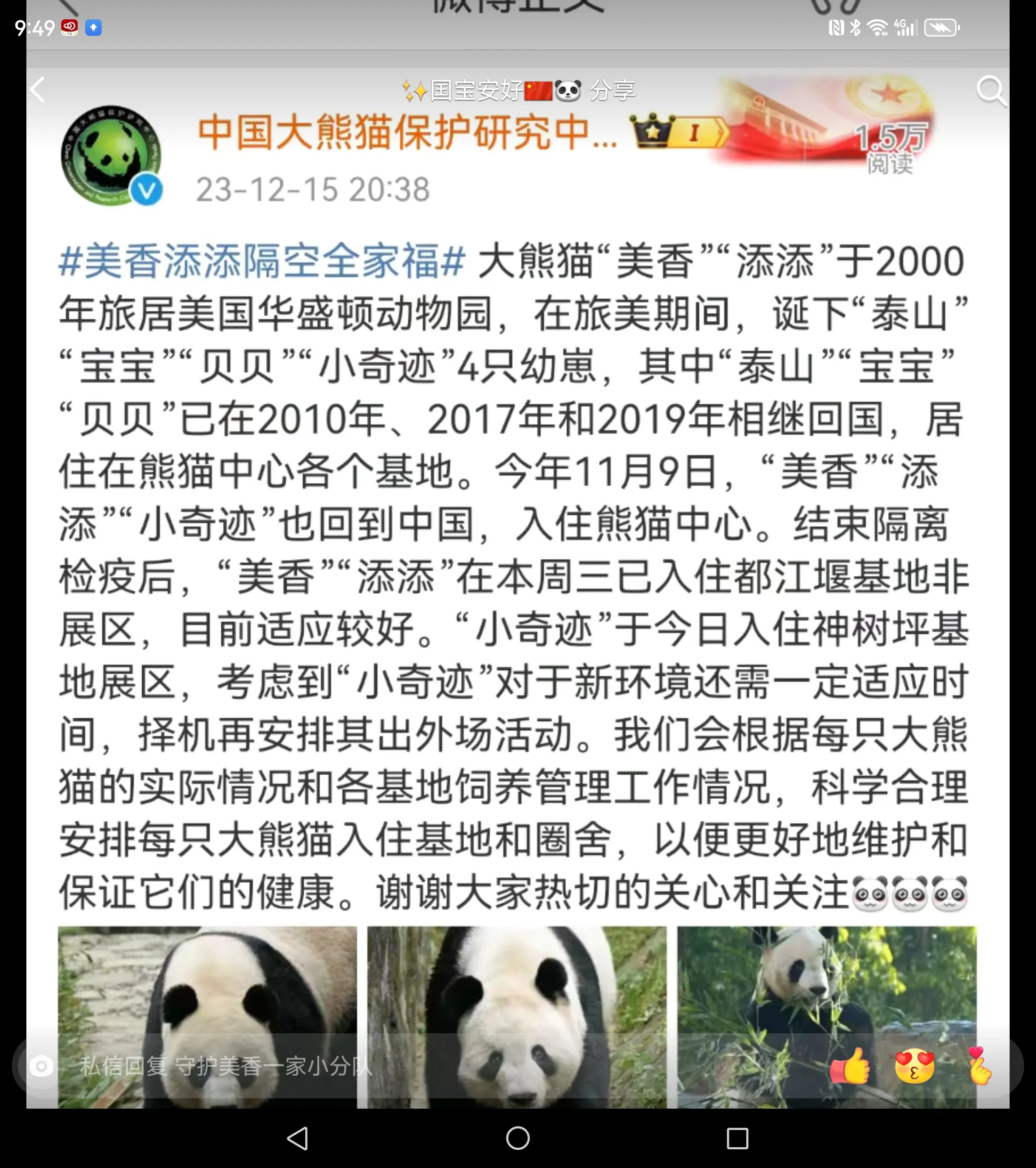 侯张小王国果然不顾舆情，
美香、添添已经被转移到都江堰，
小奇迹留在了神树坪，
