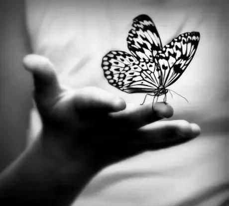 梦境中的温柔束缚,解析梦到手里拿着蝴蝶不放的深层含义 梦境中的温柔束缚,解析梦到手里拿着蝴蝶不放的深层含义