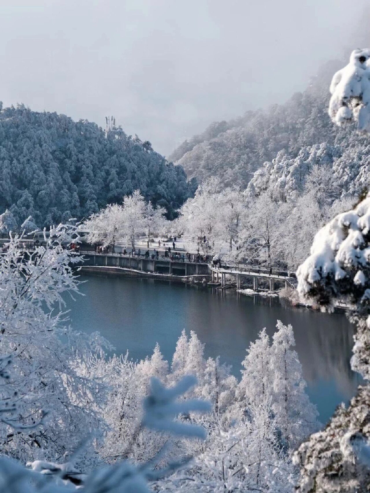 跨年庐山-赏雪景、观雾凇、打雪仗、堆雪人