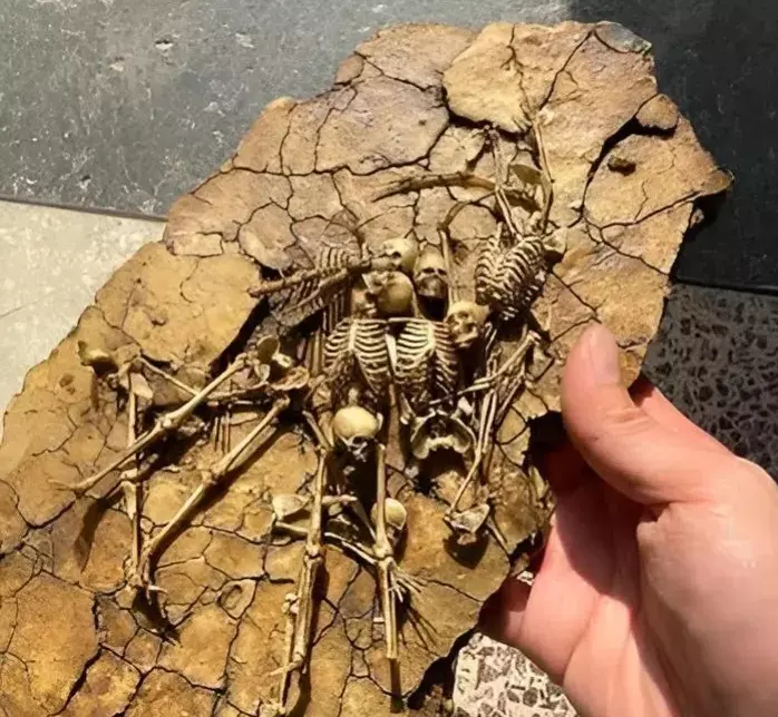 考古证明，地球上的小人族却实是存在的！
