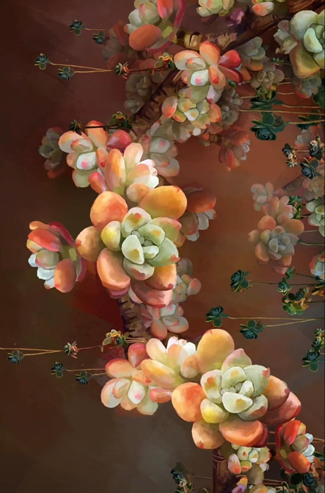 多肉也可以如此美
拥有一棵足矣
但是有朋友问我
拥有了
如何才能保持它的美
啊啊