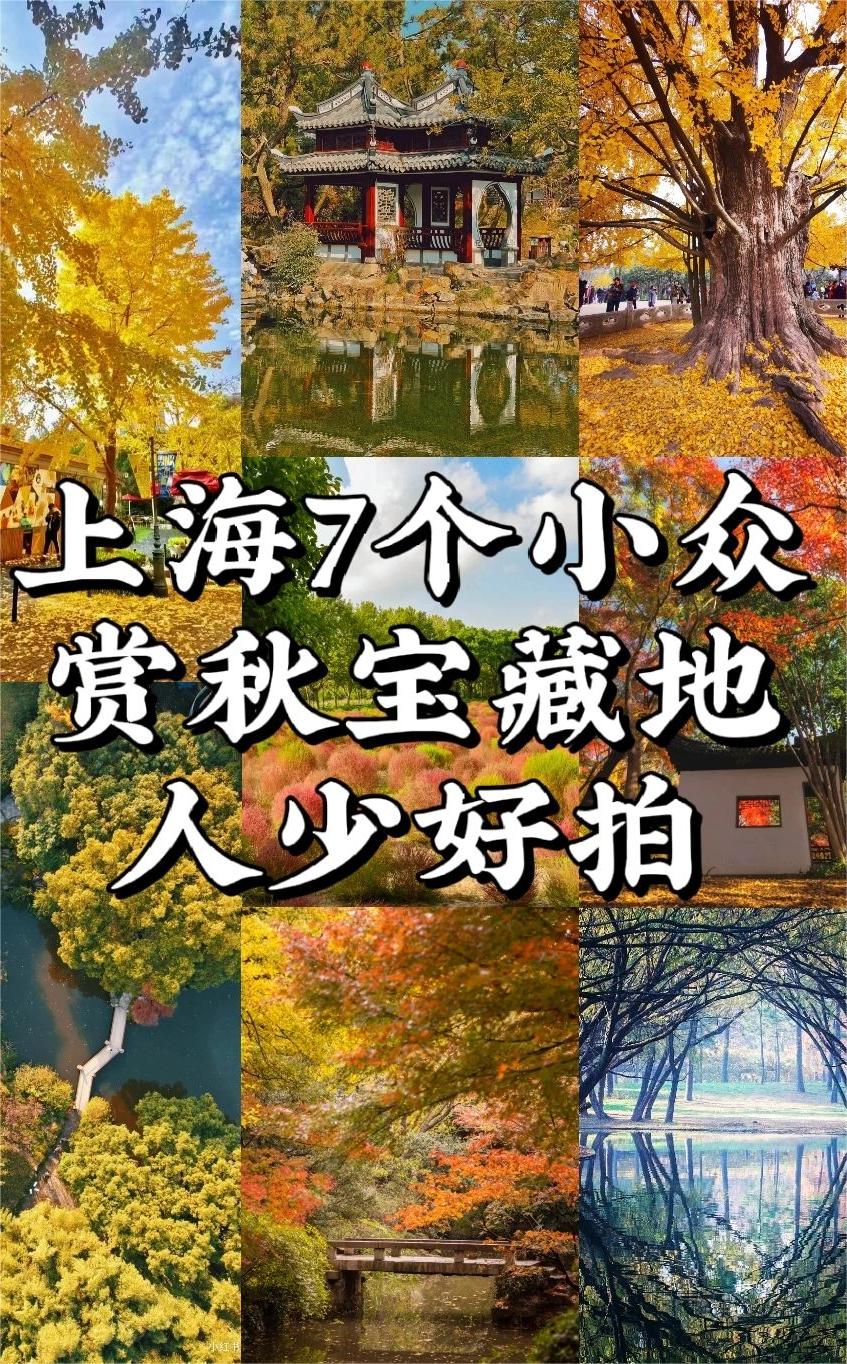 上海7个小众赏秋宝藏地，人少好拍！