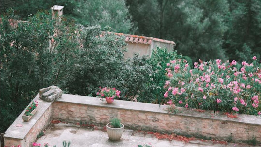 老话说“五树进宅，人穷家败”，哪5种树不能种在家里？有道理吗？