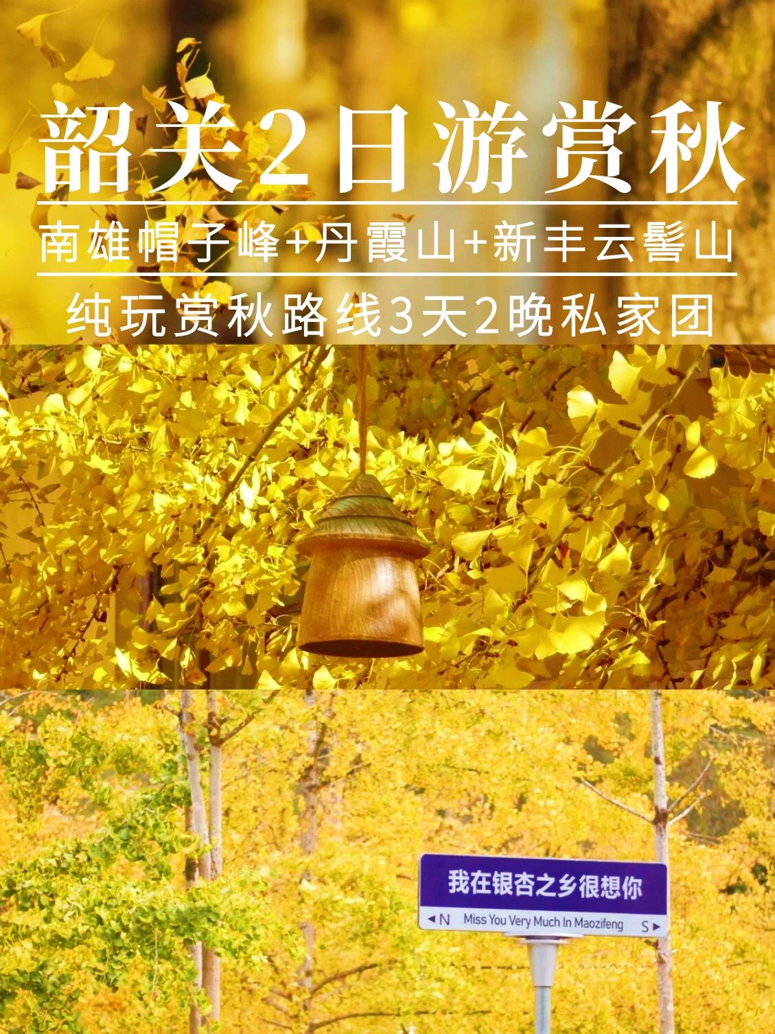 韶关2日赏秋游！银杏黄了，附旅游攻略