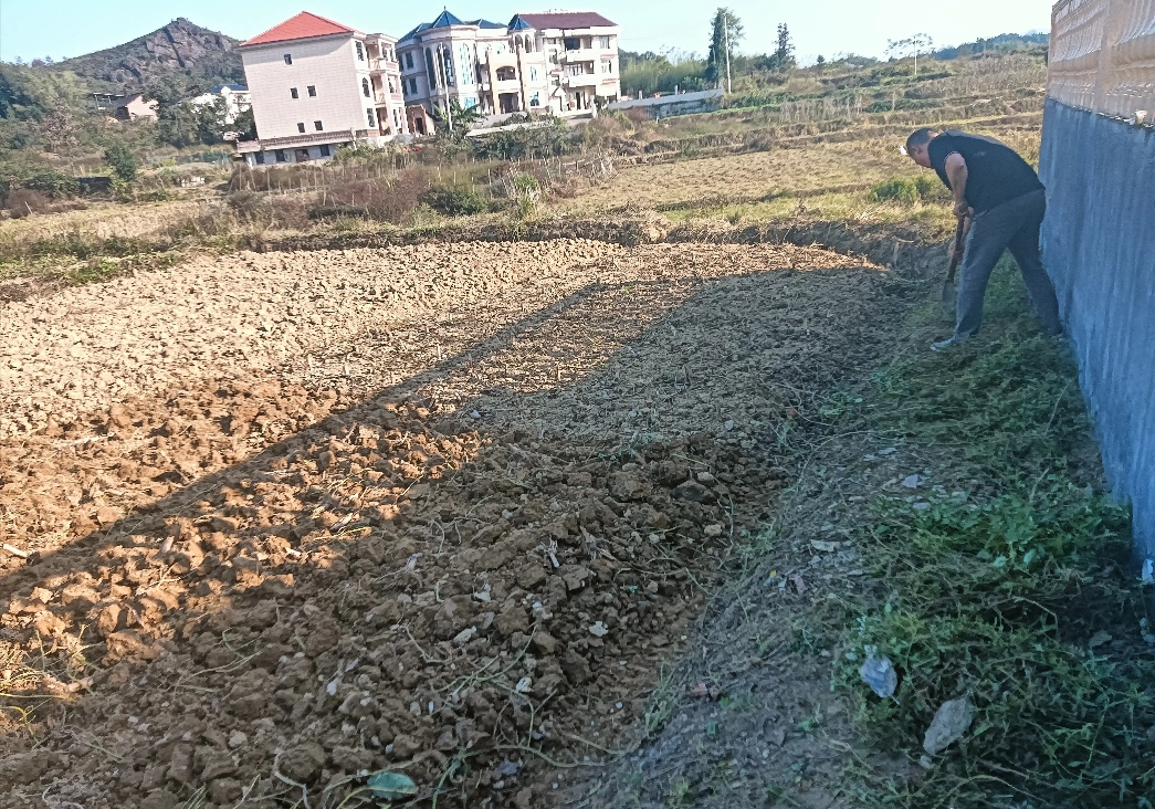 事实表明，我家老公各方面能力都比小叔子要差一点。

1、小叔子比我老公力气大，干