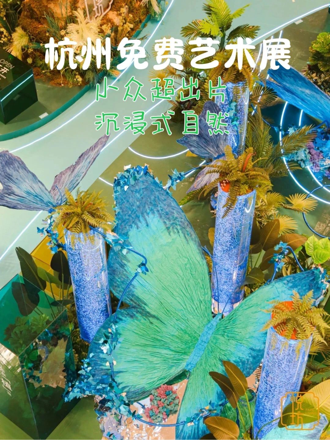 杭州免费新展🦋超级出片的自然沉浸艺术展