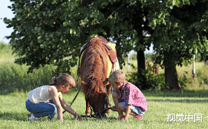 追了我五年的女生说喜欢别人了，那怎么行，一招直接让她回家……