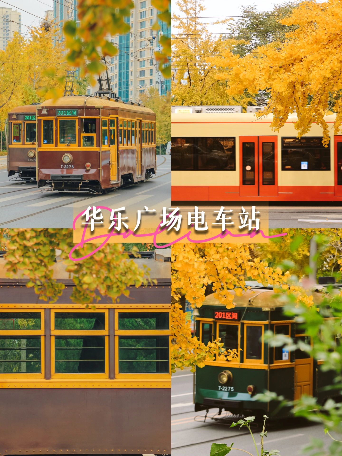 接下来的大连是这样的『大连赏秋地图』