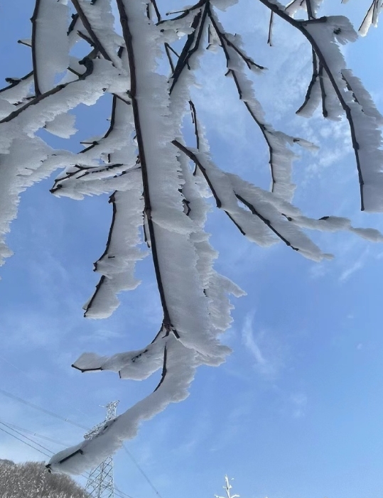 坐着小火车秦岭赏雪！ 