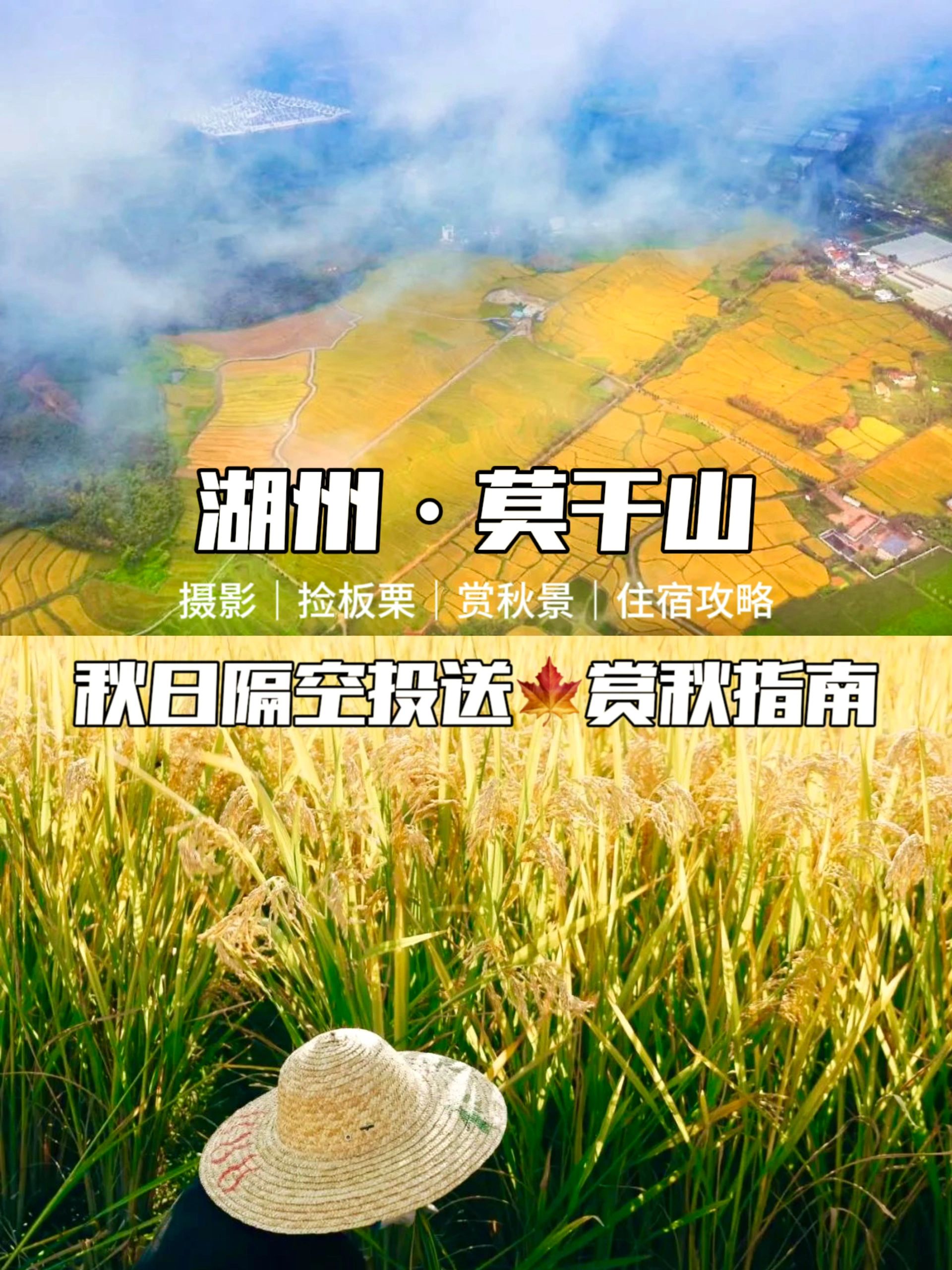 莫干山赏秋路线大盘点，秋景旅游路线推荐