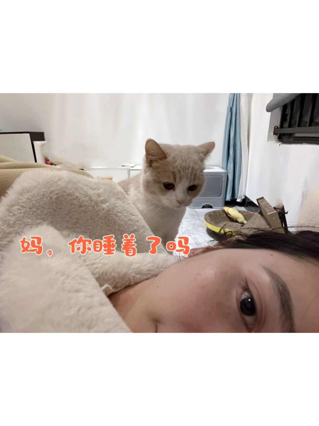 妈，我跟你商量个事
最近回南天，温度又回升了，我告诉阿猪他已经发臭了，要洗个澡，