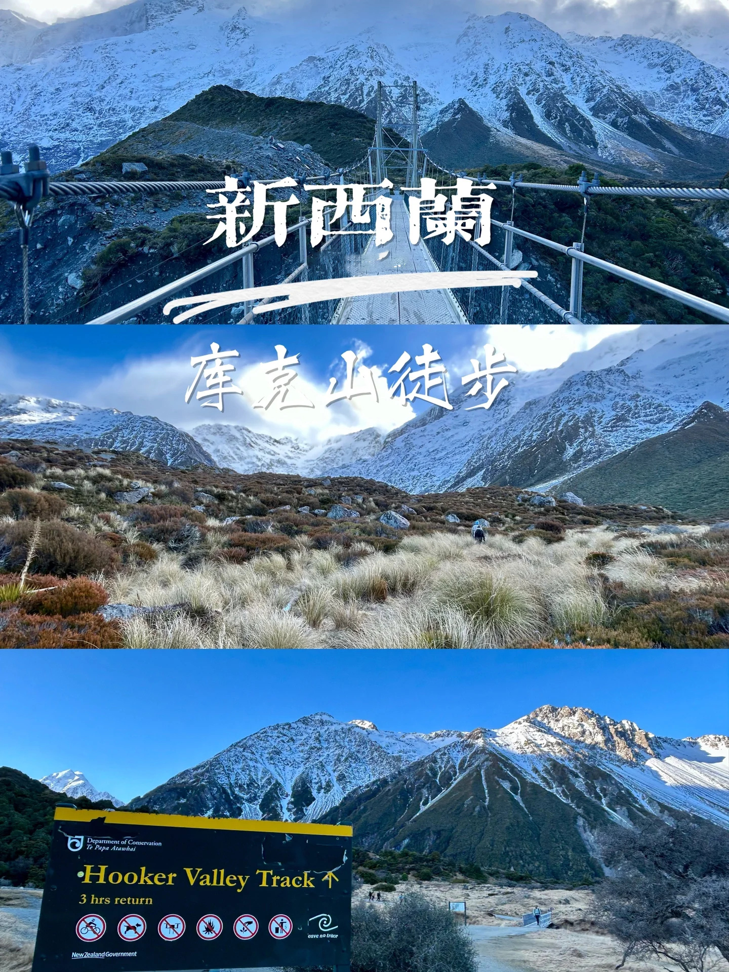 新西兰旅游｜库克山徒步