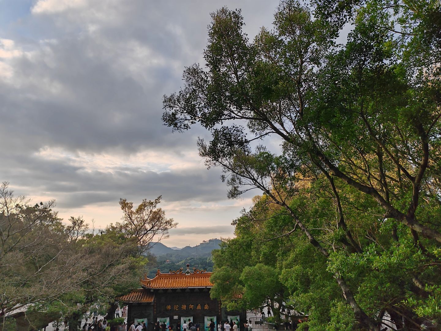 赛博礼佛and快乐吸氧
弘法寺，隐藏在植物园里的寺庙，香火旺盛。
入园15元门票