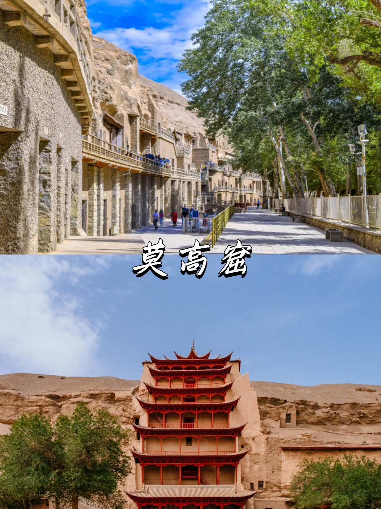 重回丝绸之路❗️敦煌莫高窟亲子研学之旅