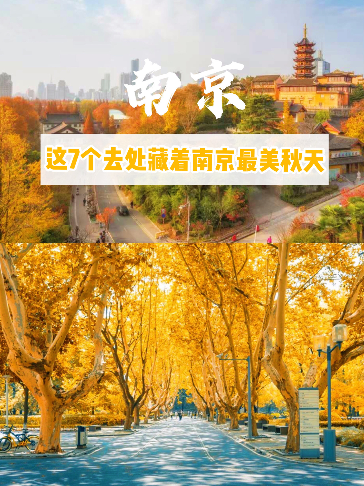 7个地方藏着南京最美秋景