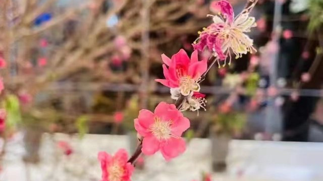 夫妻闹矛盾，老公把孩子藏起来了，怎么办？求答案