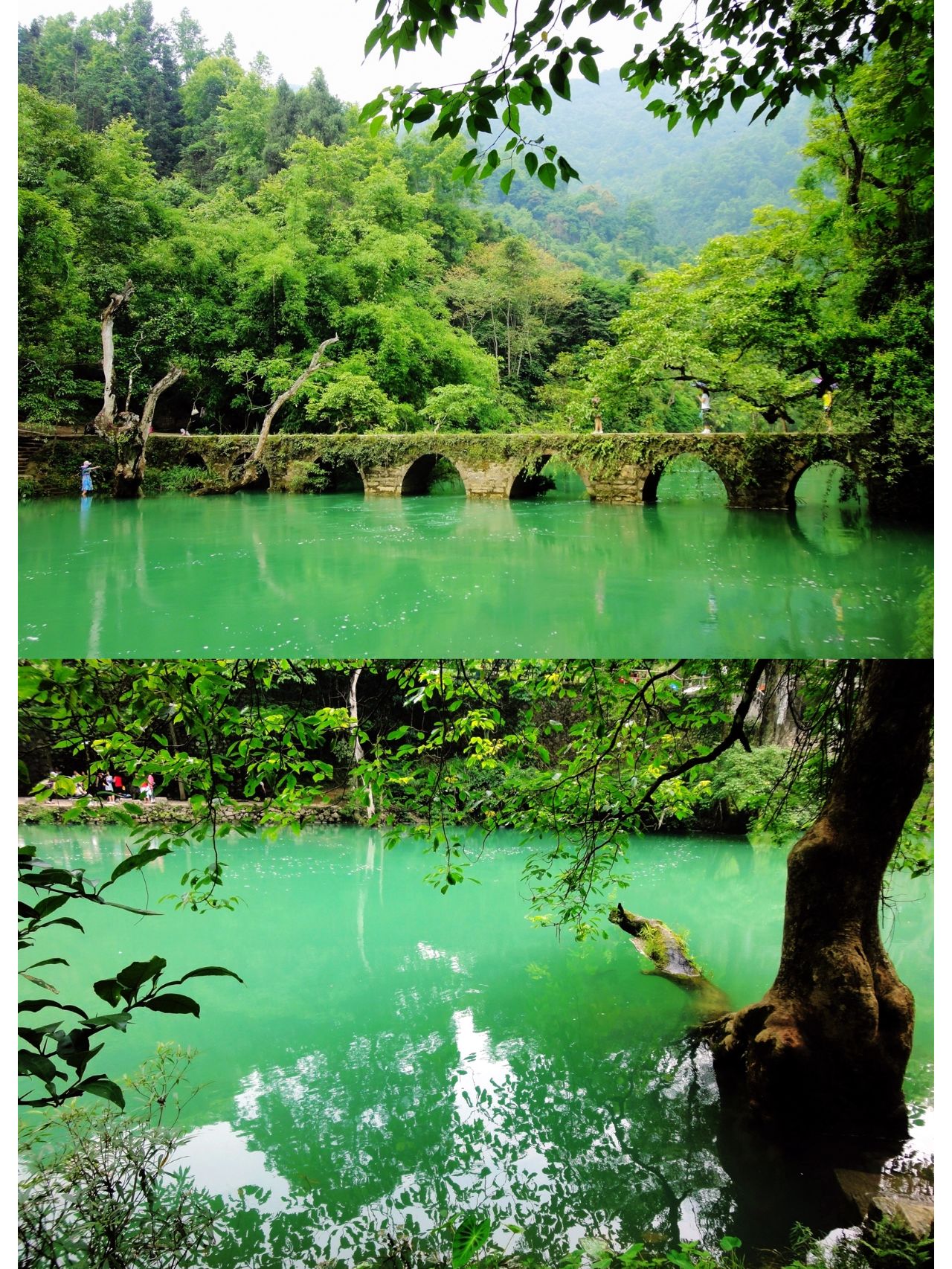 这个暑假，荔波避暑玩水遛娃风景超美
