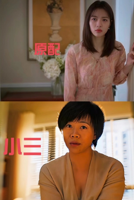我的天呐你们红薯女真的疯了。。。 ​​​