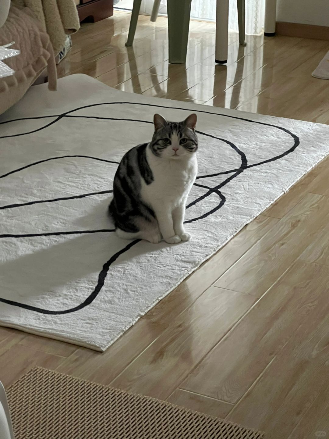 上班折回家拿东西 大笨你这是什么表情
太乖 太可爱了吧 这个班为什么要亲自上 有