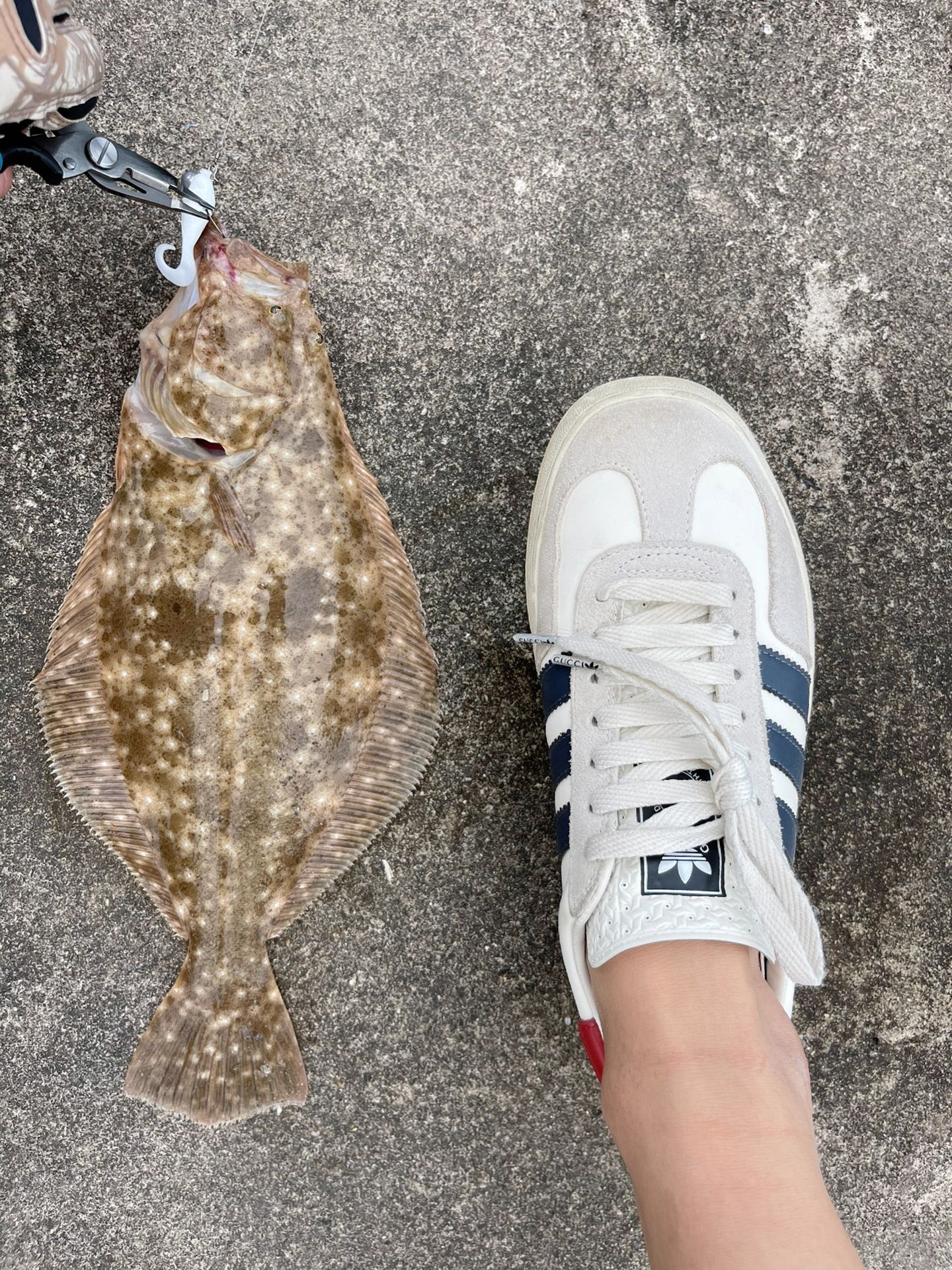 钓鱼的乐趣只有钓鱼人懂 