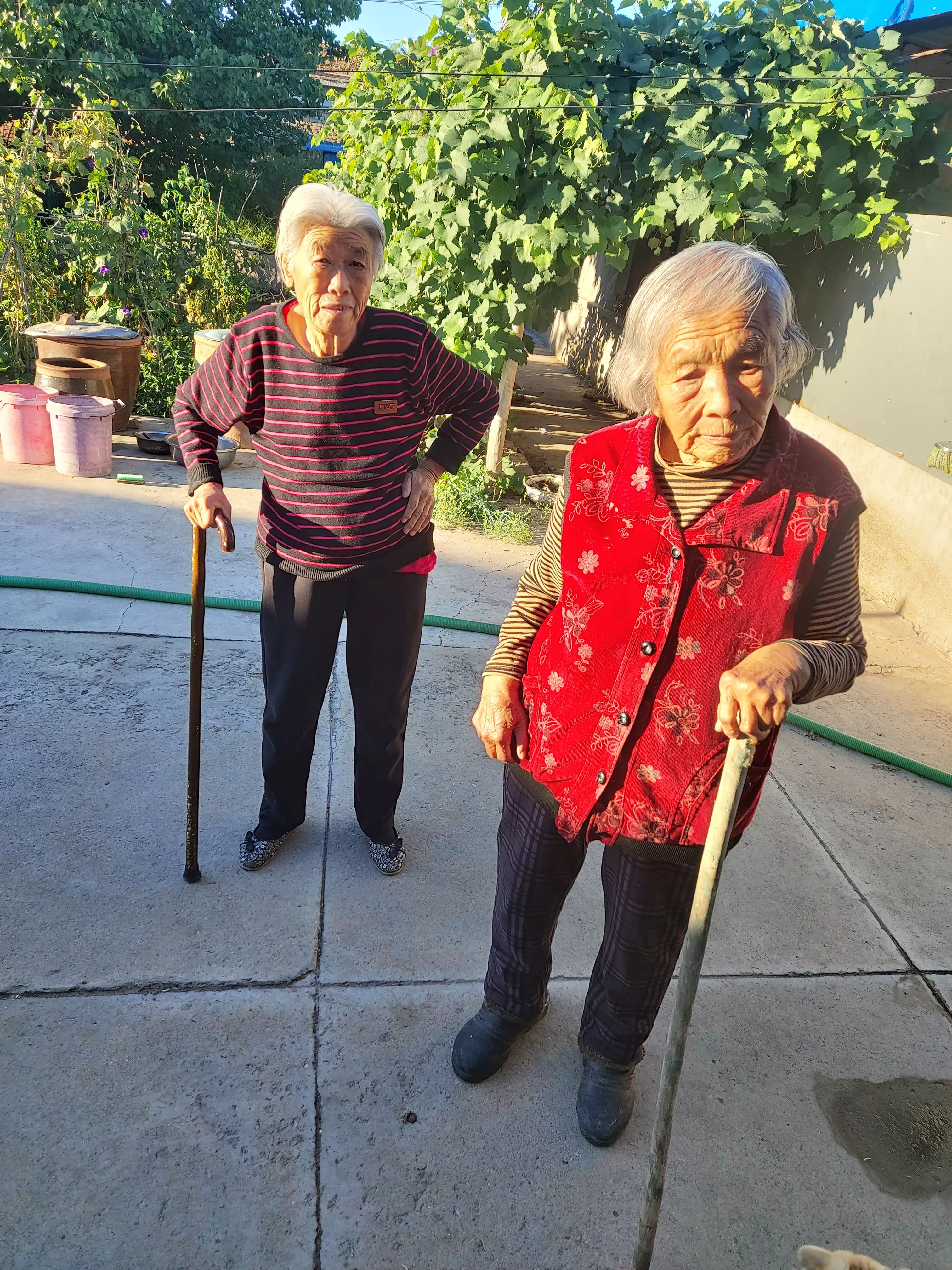 我有两个妈妈
      我赡养着两个妈妈。一个是老妈一个是岳母，一个89一个8