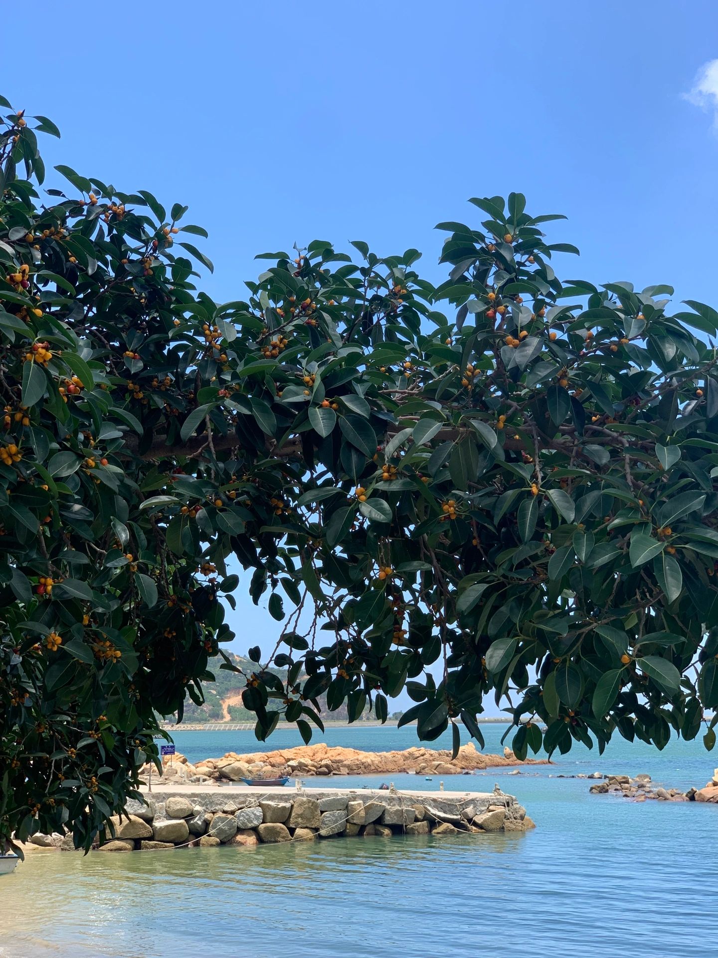 台山遛娃｜实现海滩自由和美食自由