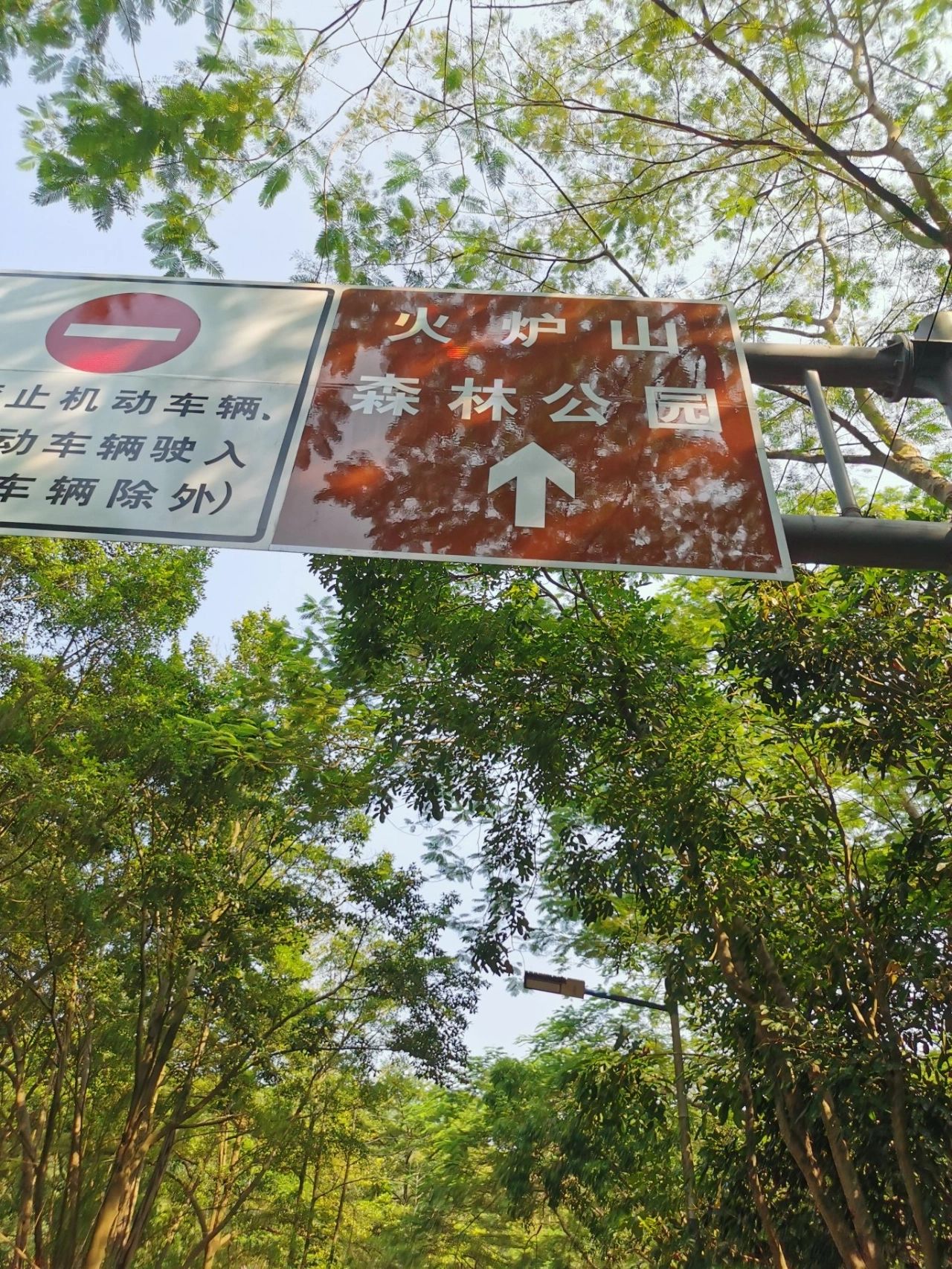 徒步 | 火炉山森林公园