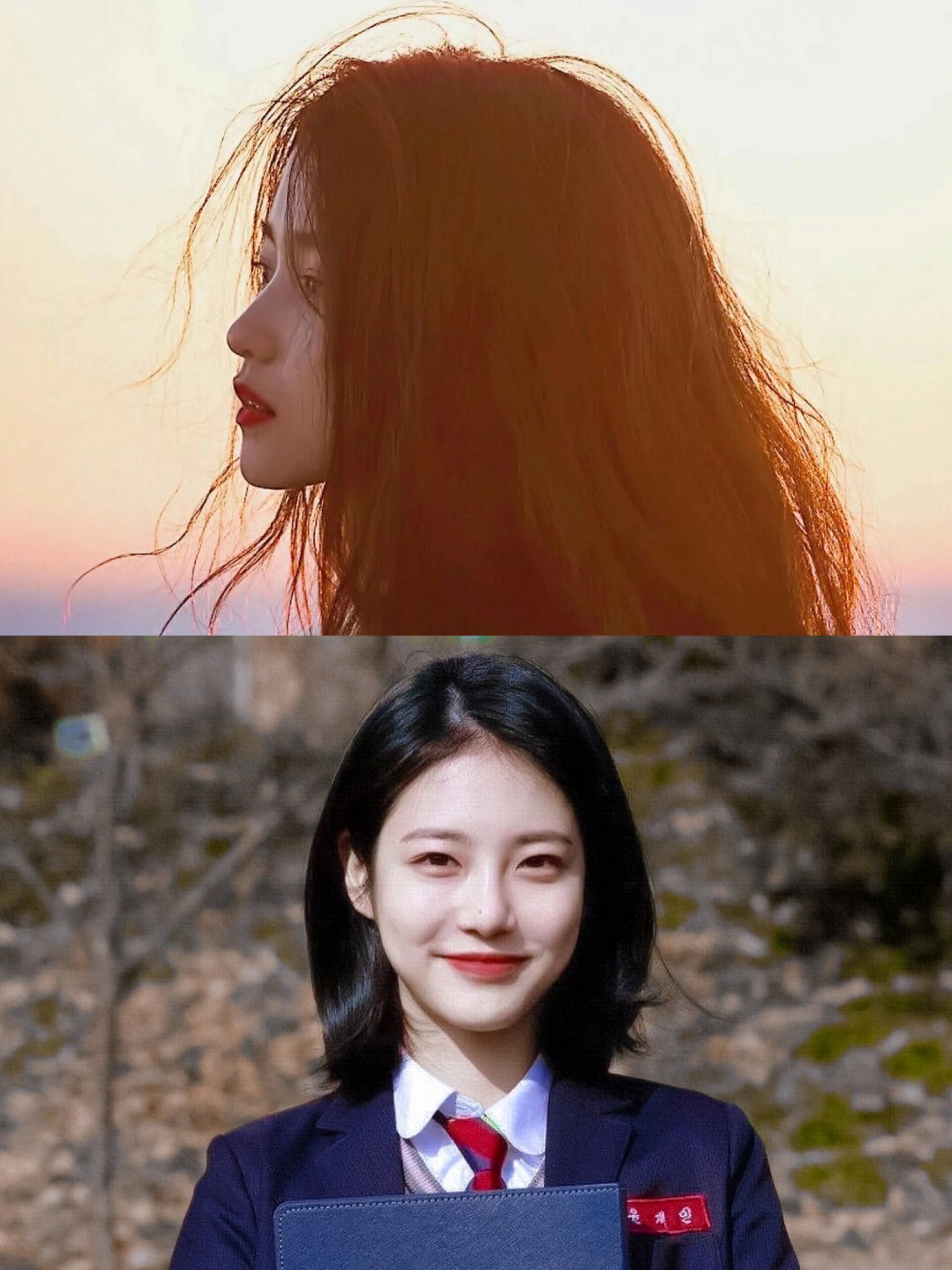 鲨疯了‼️女女恋+全女性阵容‼️