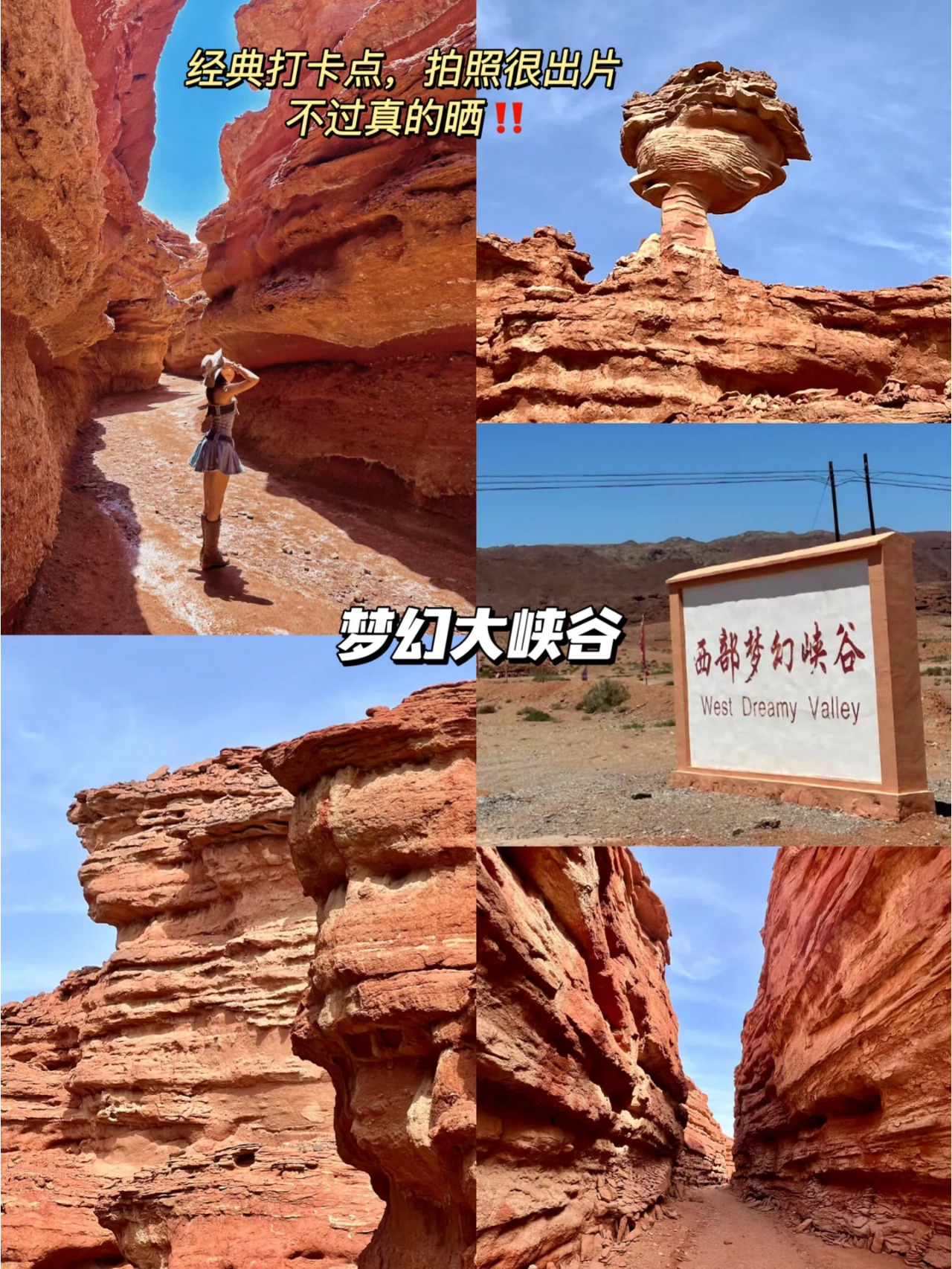 额济纳旗胡杨林4日游